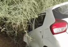हरियाणा में भीषण सड़क हादसा, कार ने ऑटो को मारी टक्कर; 2 की मौत, 4 गंभीर घायल Haryana Accident