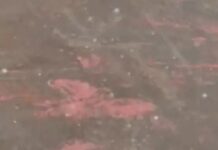 हरियाणा में बदला मौसम का मिजाज, कई इलाकों में बारिश और ओलावृष्टि Haryana Weather