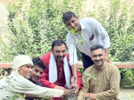 शिवभूमि सेवा समिति ने शुरू किया पर्यावरण संरक्षण अभियान शिवभूमि में किया गया रूद्राक्ष के पौधे का रोपण पर्यावरण संरक्षण आज की सबसे बड़ी आवश्यकता : आचार्य पुरूषोत्तम Shivbhoomi Seva Samiti