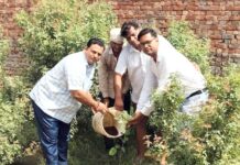 शिवभूमि सेवा समिति की पर्यावरण संरक्षण के प्रति बेहतरीन पहल शिवभूमि में पौधारोपण करके दिया गया हरियाली का संदेश Shivbhoomi Seva Samiti