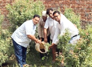 शिवभूमि सेवा समिति की पर्यावरण संरक्षण के प्रति बेहतरीन पहल शिवभूमि में पौधारोपण करके दिया गया हरियाली का संदेश Shivbhoomi Seva Samiti