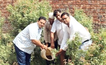 शिवभूमि सेवा समिति की पर्यावरण संरक्षण के प्रति बेहतरीन पहल शिवभूमि में पौधारोपण करके दिया गया हरियाली का संदेश Shivbhoomi Seva Samiti