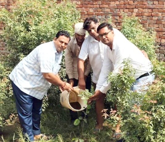 शिवभूमि सेवा समिति की पर्यावरण संरक्षण के प्रति बेहतरीन पहल शिवभूमि में पौधारोपण करके दिया गया हरियाली का संदेश Shivbhoomi Seva Samiti