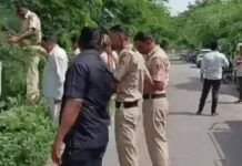 फरीदाबाद की आगरा नहर में मिला महिला का शव, पहचान में जुटी पुलिस Faridabad News