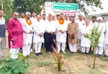 पाजू कलां गांव में पौधारोपण व सम्मान समारोह आयोजित PajuKalan