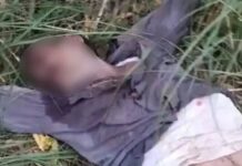 फर्रुखनगर में झाड़ियों में मिला चौकीदार का शव:कल घर से हुआ लापता, हाथ से खून निकलता मिला, पेट पर खरोंच के निशान मिले Farrukhnagar News