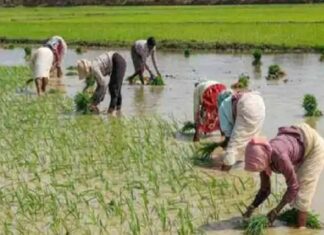 पंचायती भूमि पट्टे पर लेने के नए नियम: रोहतक में स्वयं सहायता समूहों की महिलाओं को मिलेगा लाभ, डेयरी व्यवसाय शुरू कर सकेंगी Rohtak News