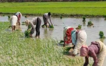 पंचायती भूमि पट्टे पर लेने के नए नियम: रोहतक में स्वयं सहायता समूहों की महिलाओं को मिलेगा लाभ, डेयरी व्यवसाय शुरू कर सकेंगी Rohtak News