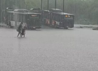 हरियाणा में मानसून का कहर, कई जिलों में मूसलाधार बारिश से जनजीवन प्रभावित Haryana Weather,