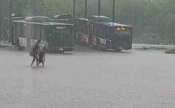 हरियाणा में मानसून का कहर, कई जिलों में मूसलाधार बारिश से जनजीवन प्रभावित Haryana Weather,