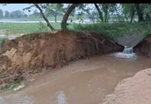 सिरसा में गुड़िया खेड़ा माइनर में 20 फुट चौड़ी दरार, 12 एकड़ फसल जलमग्न; किसानों ने मुआवजे की मांग उठाई Sirsa News