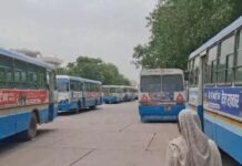 हिसार में रोडवेज कर्मचारियों की हड़ताल, कई बस फेरे प्रभावित; दूसरे डिपो की बसों में बढ़ी भीड़ Bus Update