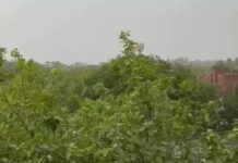 हरियाणा में मानसून फिर होगा सक्रिय, 4 जिलों में तेज बारिश का अलर्ट; 22 जुलाई तक अच्छी बरसात के आसार Haryana Weather