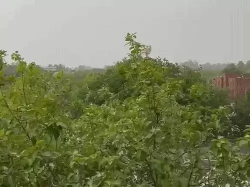 Haryana Weather