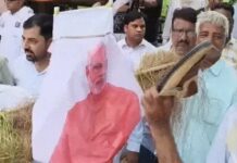 हरियाणा में कांग्रेस का प्रदर्शन, कई जिलों में विरोध तेज; यमुनानगर में पुतला दहन, भिवानी में पुलिस से धक्का-मुक्की Haryana Congress