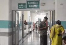 सोनीपत में ट्रक ने पिकअप को मारी टक्कर, चालक गंभीर घायल; रोहतक PGIMS रेफर Sonipat News,
