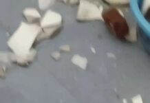 यमुनानगर में विधवा के घर पर ईंट-पत्थरों से हमला, घर में घुसकर तोड़फोड़ का आरोप Yamunanagar News