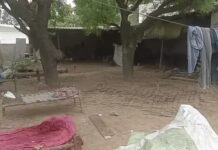 गुरुग्राम में बेटे पर सौतेले पिता की हत्या का आरोप, कुदाल से किया जानलेवा हमला Gurugram News