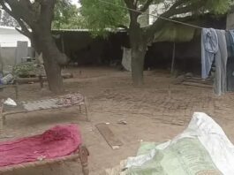 गुरुग्राम में बेटे पर सौतेले पिता की हत्या का आरोप, कुदाल से किया जानलेवा हमला Gurugram News