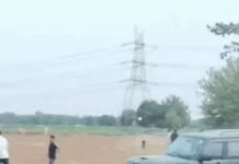 फरीदाबाद में युवक पर स्कॉर्पियो चढ़ाने की कोशिश, VIDEO वायरल; वांछित आरोपी पर आरोप Faridabad News