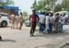 महेंद्रगढ़ सड़क हादसे में फॉरेस्ट कर्मचारी की मौत, ड्यूटी पर जाते समय ट्रक ने बाइक को मारी टक्कर; 6 महीने पहले हुई थी शादी Mahendragarh News