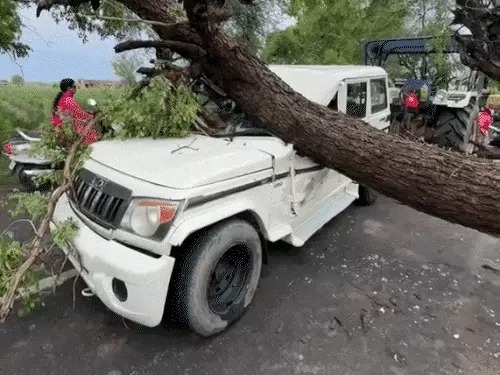 Storm Damage