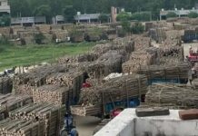 कांवड़ यात्रा से यमुनानगर का लकड़ी कारोबार प्रभावित, 11 अगस्त तक बंद रहेंगी मंडियां Yamunanagar News