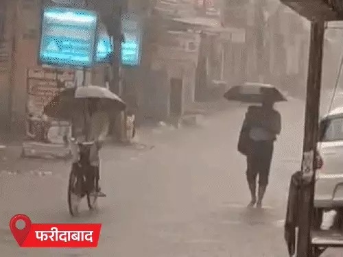 Haryana Rain