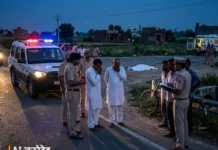 हाईवे पार करते समय दर्दनाक हादसा, तेज रफ्तार वाहन की चपेट में आने से किसान की जान गई Narnaul News
