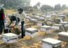 महेंद्रगढ़ में मधुमक्खी पालक के 232 बॉक्स चोरी: 325 बॉक्स में जहर मिलाया, भाई और साले की मौत के बाद गांव गया था Mahendragarh