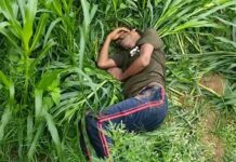 हाईवे किनारे खेत में मिला अज्ञात व्यक्ति का शव, पहचान में जुटी पुलिस Narnaul News