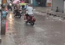 हरियाणा में मानसून का असर जारी, तीसरे दिन भी बारिश; 14 जिलों में अलर्ट Haryana Weather,