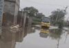रोहतक में खेतों पर संकट: पानी निकासी ठप होने से फसलें चौपट, ग्रामीणों में बढ़ा रोष Rohtak News