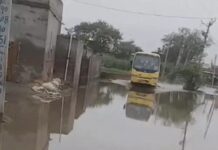 रोहतक में खेतों पर संकट: पानी निकासी ठप होने से फसलें चौपट, ग्रामीणों में बढ़ा रोष Rohtak News