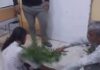 सरकारी अस्पताल में सांप के काटने पर झाड़-फूंक का VIDEO वायरल, इलाज को लेकर उठे सवाल Government Hospital