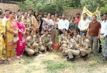एक पेड़ माँ के नाम अभियान के तहत लगाए 251 पौधे Ek Ped Maa Ke Naam