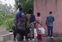 फरीदाबाद में मंदिर के पीछे जंगल में मिला पुजारी का शव, सिर पर चोट के निशान; हत्या की आशंका, पोस्टमॉर्टम से खुलेगा मौत का राज Faridabad News