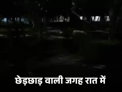 Haryana News