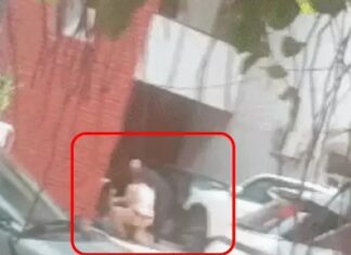 चंडीगढ़ में मकान विवाद के दौरान फायरिंग, महिला घायल; पुलिस के सामने चली गोली Chandigarh News