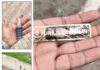 अंबाला विवाद में गुरुद्वारा कमेटी प्रमुख पर केस, गैस टैंकर को लेकर पुलिस ने जताई साजिश की आशंका Ambala