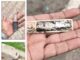 अंबाला विवाद में गुरुद्वारा कमेटी प्रमुख पर केस, गैस टैंकर को लेकर पुलिस ने जताई साजिश की आशंका Ambala