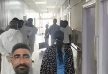 हरियाणा में कांग्रेस नेता के पोते की हत्या, बस स्टैंड पर घेरकर हमला; भाई-भतीजा भी घायल Haryana News