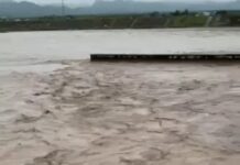 यमुना सफाई अभियान को लेकर सरकार सख्त, STP-CETP परियोजनाओं के लिए तय हुई समयसीमा Yamuna Action Plan