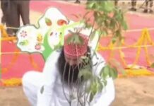 सिरसा में डेरा प्रमुख के जन्मदिन को लेकर तैयारियां तेज, अनुयायी पहले चलाएंगे पौधरोपण अभियान Sirsa