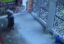 फरीदाबाद के स्कूल में महिला शिक्षक की हत्या, पुलिस जांच में जुटी; आरोपी की तलाश जारी Faridabad News