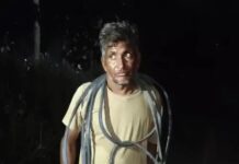 कुरुक्षेत्र में कट्टा लेकर घूम रहा युवक पकड़ा गया, केबल चोरी का मामला भी आया सामने Kurukshetra News
