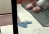 हरियाणा में ATM के अंदर अंडरवियर में सोता मिला रोडवेज कंडक्टर, VIDEO वायरल Haryana News