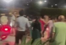 गुरुग्राम में आवारा कुत्तों को खाना देने पर विवाद बढ़ा, महिलाओं में मारपीट और जमकर हंगामा Gurugram