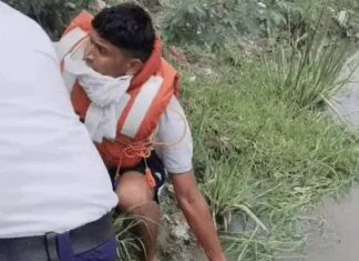 फरीदाबाद की आगरा नहर में मिला व्यक्ति का शव, ट्रैफिक पुलिसकर्मी ने देखी डेडबॉडी Faridabad News