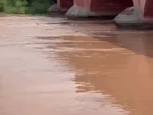Kurukshetra News